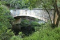 Old vehicle bridge built in 1904 over Swart River Royalty Free Stock Photo