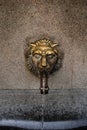 Old venetian fountain with lion heads springs pure drinking water in SOFIA BULGARIA August 12, 2019. Close up stone fountain bowl