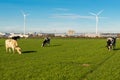 Old versus new, with a focus on the current nitrogen discussion in the Netherlands Royalty Free Stock Photo