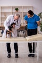 Old male vet doctor examining dog in the clinic Royalty Free Stock Photo