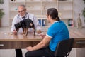 Old male vet doctor examining dog in the clinic Royalty Free Stock Photo