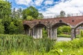 The old viaduct in the town of Coalbrookdale, Shropshire. UK viewed through a bed of reeds Royalty Free Stock Photo