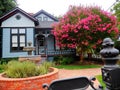 Old victorian house yard with brick pavement Myrtle tree Royalty Free Stock Photo