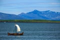 Old viking boat