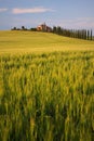 Old Villa view in Tuscany Royalty Free Stock Photo