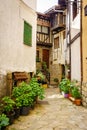 Old village alley with flowers and plants on the street, Salamanca, Spain. Royalty Free Stock Photo