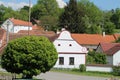 Village and tree