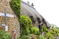 Old village house with cottage flowering garden Royalty Free Stock Photo