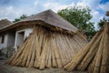 house with reed roof in vintage style