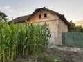 Old village house with small corn field Royalty Free Stock Photo