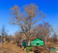 Old village house under big tree Royalty Free Stock Photo