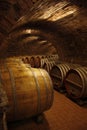 Old vine cellar Royalty Free Stock Photo