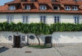 The Old Vine in Maribor Royalty Free Stock Photo