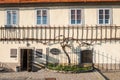 The old vine, Maribor, Slovenia Royalty Free Stock Photo