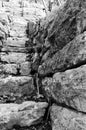 Very steep old vineyard staircase made of natural stones in black and white Royalty Free Stock Photo