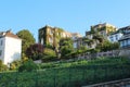 Old vineyard in the artists' quarter of Montmartre, Paris Royalty Free Stock Photo