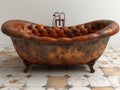 old vintage bathtub