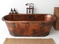 old vintage bathtub