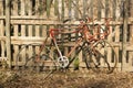 Old vintage bicycle against a wooden fence Royalty Free Stock Photo