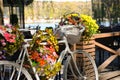 Old vintage bicycle decorated with colorful flowers like decor at an outdoor cafe Royalty Free Stock Photo