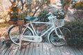 Old vintage bike or bicycle with colorful flower pot. Royalty Free Stock Photo