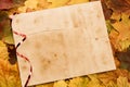 Old vintage blank sheet of paper on colorful maple leaves. Thanksgiving Royalty Free Stock Photo