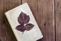 Old vintage book for herbarium with dry raspberry leaf on rustic wooden background with copy space  herbalist  drug recipes Royalty Free Stock Photo