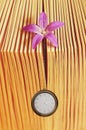 Old vintage book and pocket watch hanging from little pink flowe Royalty Free Stock Photo