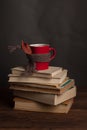 Old vintage books and red cup with tea covered in sarf on wooden table, vertical photo.