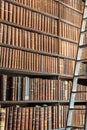 Old vintage books on wood bookshelf and ladder in a library