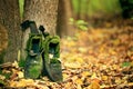 Old vintage boots in autmn leaves