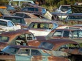 Old VIntage Car, Cars, Junkyard Royalty Free Stock Photo