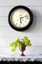 Old vintage clock on white wooden wall with mint tree in vase on Royalty Free Stock Photo