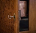 The old and vintage cupboard door with lock