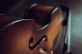 Old vintage doublebass. Royalty Free Stock Photo