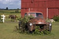 Old Vintage Farm Truck by Barn and Horse Royalty Free Stock Photo