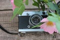 Old vintage film photo camera and flowers on wooden background with copy space. Royalty Free Stock Photo