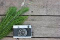 Old vintage film photo camera and green plants on wooden background with copy space. Royalty Free Stock Photo