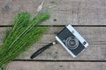 Old vintage film photo camera and green plants on wooden background with copy space. Royalty Free Stock Photo