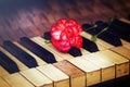 Old vintage gand piano keys with a red carnation flower, vintage picture. music concept.