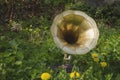 Antique gramophone on the grass