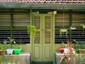 Old vintage green wood door with plants in pots near it Royalty Free Stock Photo