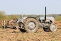 Old grey massey fergusen tractor at ploughing match