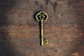 Old vintage key on wood texture background Royalty Free Stock Photo