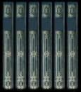 Old vintage leather book spines