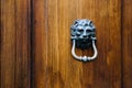 Old vintage lion head door knocker. Royalty Free Stock Photo