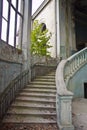 Old vintage marble spiral staircase at abandoned overgrown mansion Royalty Free Stock Photo