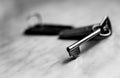 Old vintage metal key, black and white Royalty Free Stock Photo