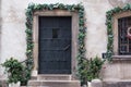 Old vintage metalic door entwined with a plant