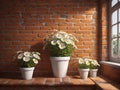 vintage orange brick wall decorated with white daisy in small pots for background. Royalty Free Stock Photo